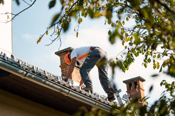 Quick and Trustworthy Emergency Roof Repair Services in Kailua, HI